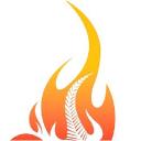 Fire Systems NZ logo